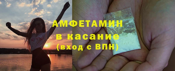 шишки Богородицк