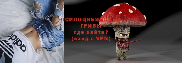 прущие грибы Мегион