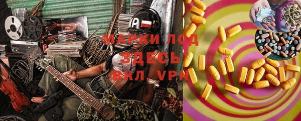 прущие грибы Мегион