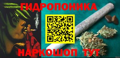 прущие грибы Малгобек