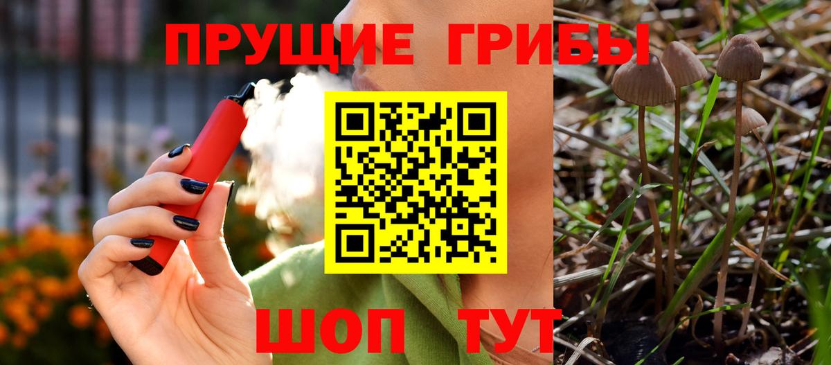 Псилоцибиновые грибы GOLDEN TEACHER  Вход с VPN  Энгельс 